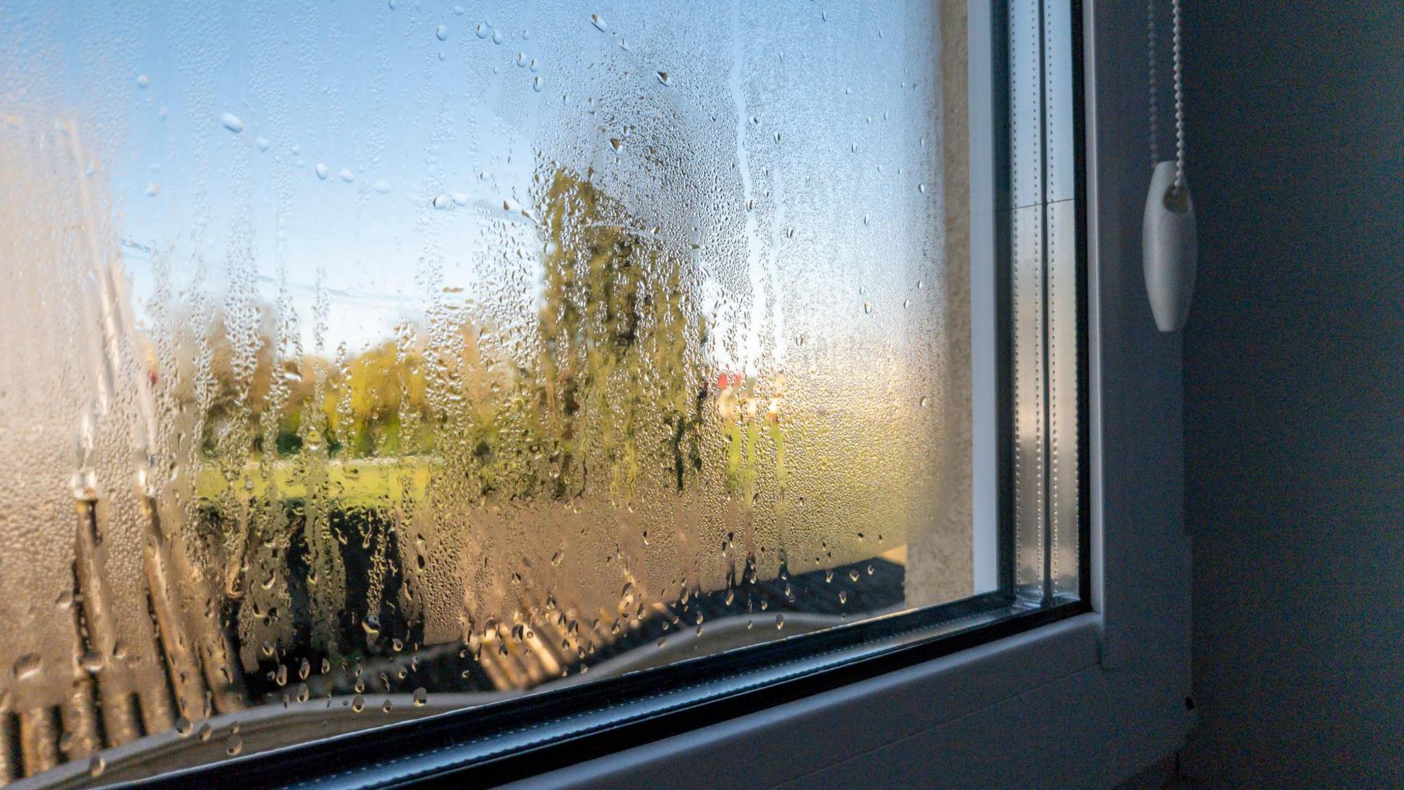 Condensation Control