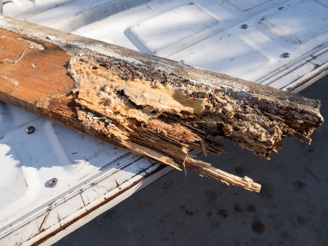 Timber treatment completed