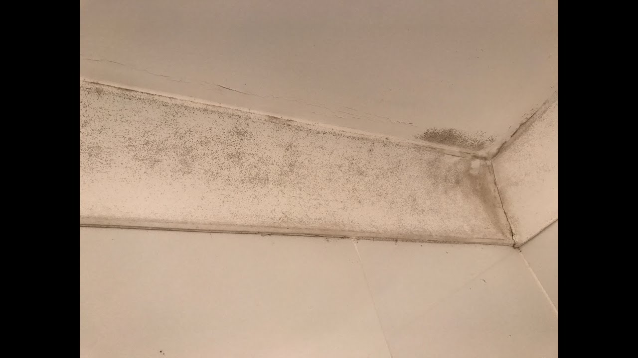 Mould Control